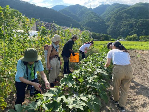 長谷さんさん農園は、移住者も集まるのみんなでつくりつながる農園🥕