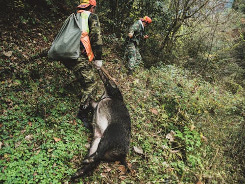 獣たちも山の恵み