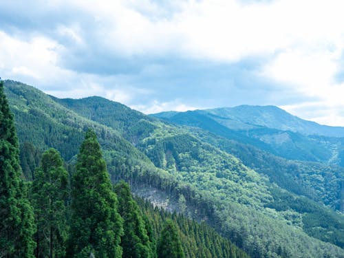 椎葉村の広大な森林があなたのフィールドに