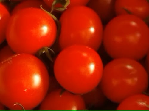 フルーツトマトも絶品!