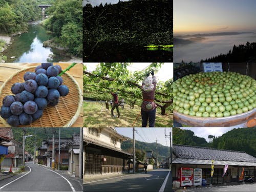 地域おこし協力隊も募集🌳