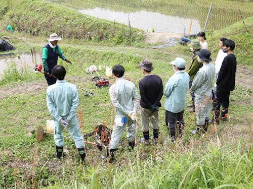 棚田ボランティアの皆様