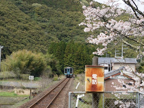 伊与喜駅です。春には桜並木が出迎えてくれます。