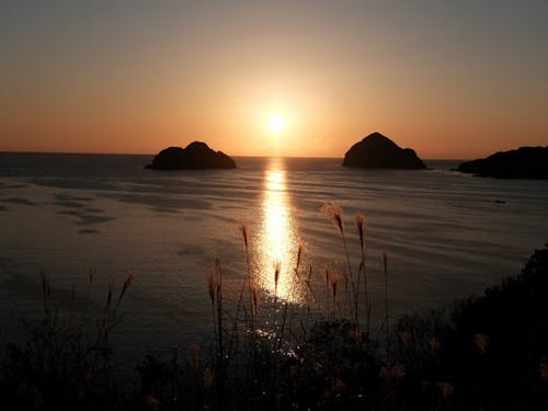 来年はなにを目標に