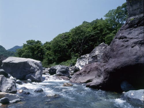 糸魚川といえばヒスイ!原石がある小滝ヒスイ峡