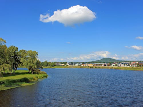 自然豊かな環境で過ごす毎日