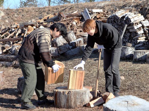 この薪なら割れるかな~?と吟味中!