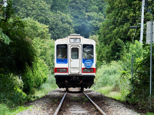 大槌でも「あまちゃん」でお馴染み!三陸鉄道に乗ってみては?