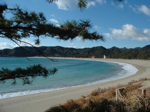 夏の弓ヶ浜 日本百名浜に選ばれたビューティフルビーチ!