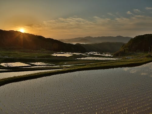 日本の棚田100選に選ばれた山王寺の棚田