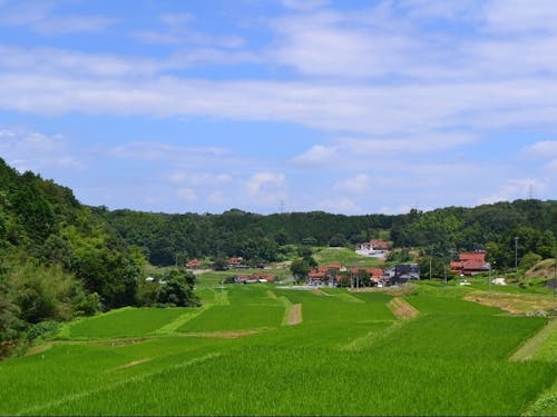 雄大な自然の中で農業をしてみませんか?