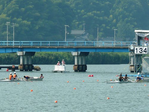 円山川で行われたローイング大会のようす