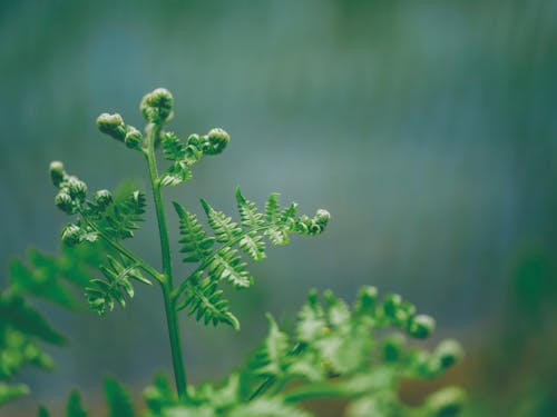 里山の宝や地域ごとの特色