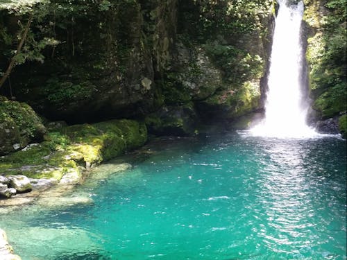 美しい自然がすぐそこにある暮らしも叶う?!