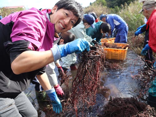 【現役隊員】町と農家が共に研究を進める薬用植物の定植から収穫までをサポート
