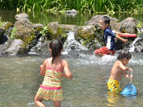 暑い季節は子供たちの格好の遊び場です。