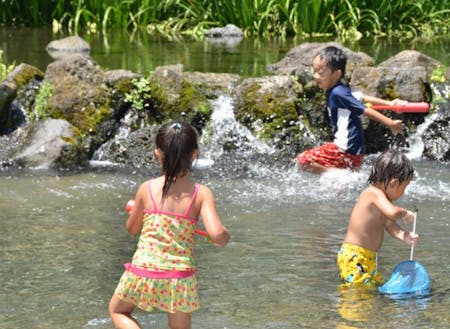 暑い季節は子供たちの格好の遊び場です。