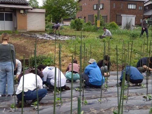 利用者の方との農園作業