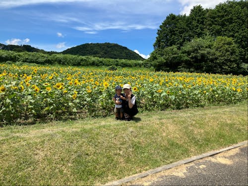 萩市むつみの「ひまわりロードフェスタ」へ。萩市では年間を通してたくさんのイベントが開催される。