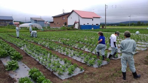 授業(農業実習)の様子です。