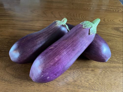 重量が500g超にもなる村の伝統野菜「ていざなす」