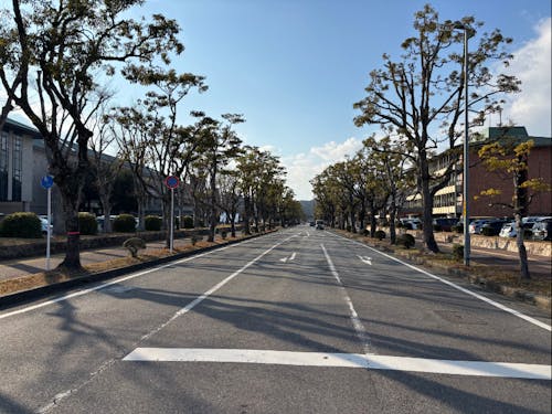 市役所前から近江鉄道八日市駅方面を望む。空が美しく映えます