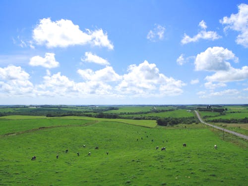 活動の舞台は東京23区の2倍以上の面積を誇る広大な大地!