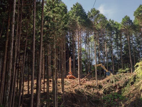 自然と向き合うことを生業する1ヶ月を体験してみませんか。