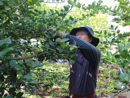 半農半Xで、まちづくり起業をめざしています