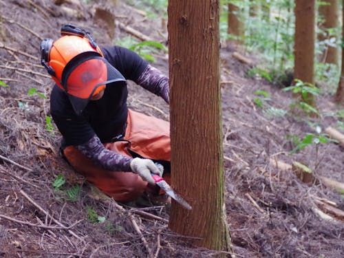 山のお仕事についても知ってほしい。