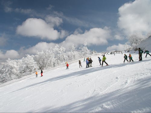 本町の観光・レジャー施設「五ヶ瀬ハイランドスキー場」の様子