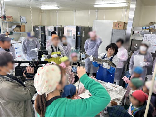 こども園との新巻鮭づくりの様子