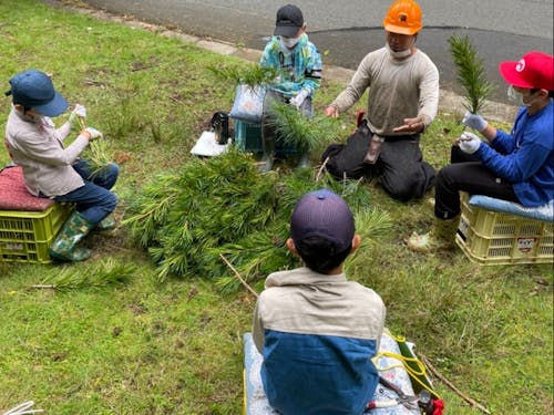 地域の子供に高野槇教室開催