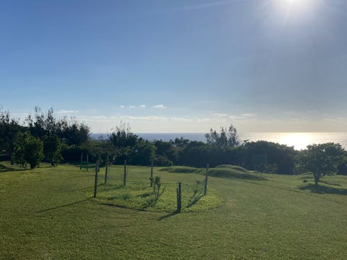 職場其2:粟国島パークゴルフ場です!!