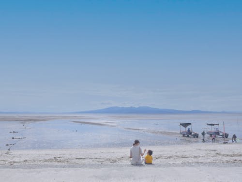 渡り鳥や魚介類など多様な生物が身近に(荒尾市)