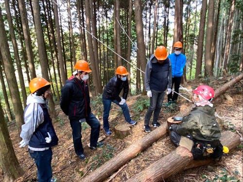林業体験