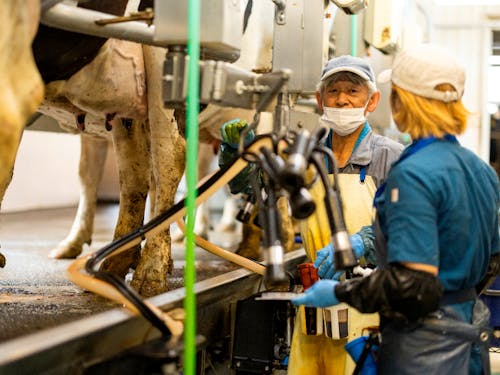 別海町が誇る産業を次世代につなぎ、「日本の食を支えるまち」の役割を継続していくのが、我々の目標です。