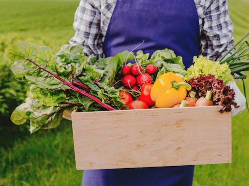 高品質！多種多様な農産物が生産されています！