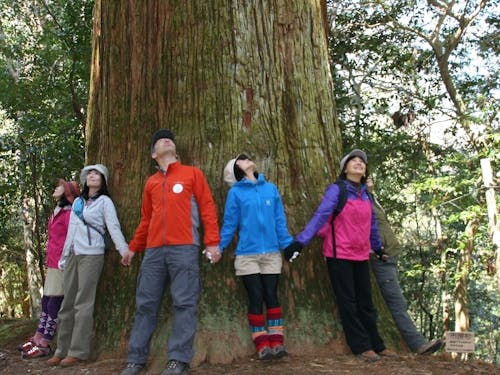 心も癒される「森林セラピー」