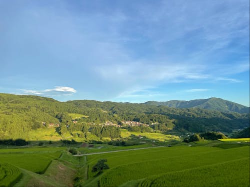 山側エリアも自然豊かな絶景スポットが多数