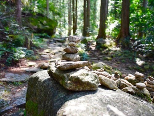 熊野古道の様子