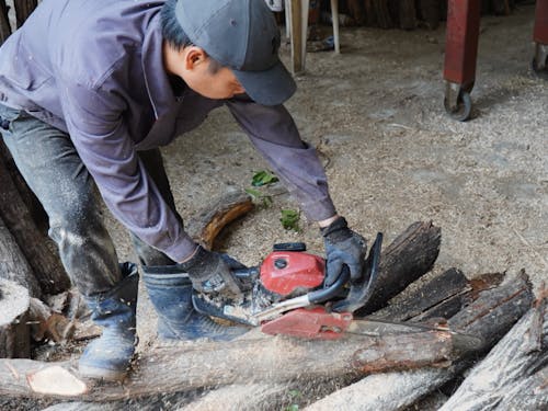 チェーンソーなどで製材