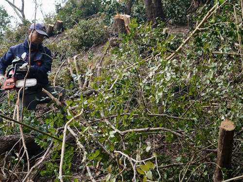 実際に切っている所