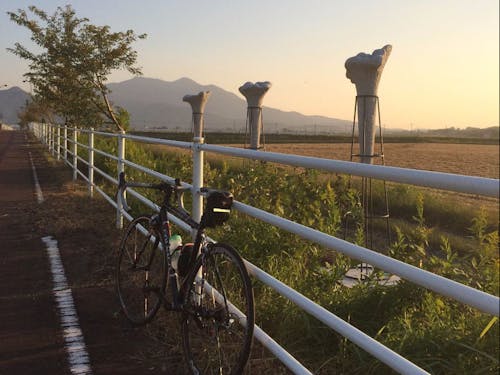 「つくば霞ヶ浦りんりんロード」でサイクリングも楽しめます♫