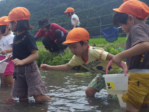 「いのち」の大切さを学ぶ生きもの調査