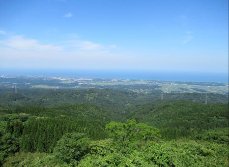 能登半島で最も高い「宝達山」からの眺め。頂上エリアにはブナ林が広がる。