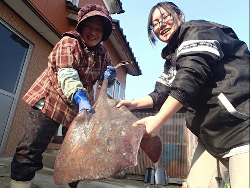 大きなカスベ(エイ)