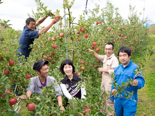 (2)特定非営利活動法人LAMP