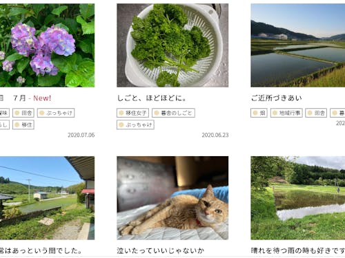 ポータルサイト「高田暮らし」では、スタッフの移住生活の日常をありのまま綴る「高田暮らしコラム」を連載。ぶっちゃけ話も包み隠さず発信しています。