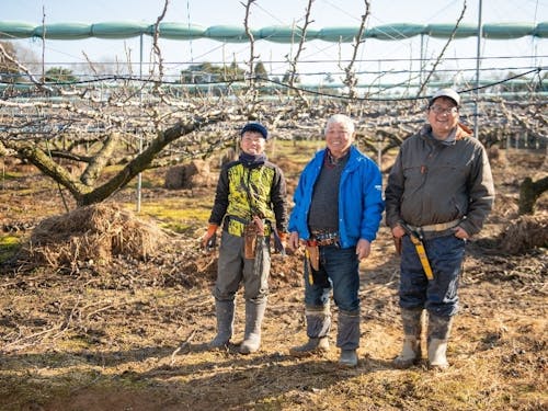 農業部門では、梨にもチャレンジできます！